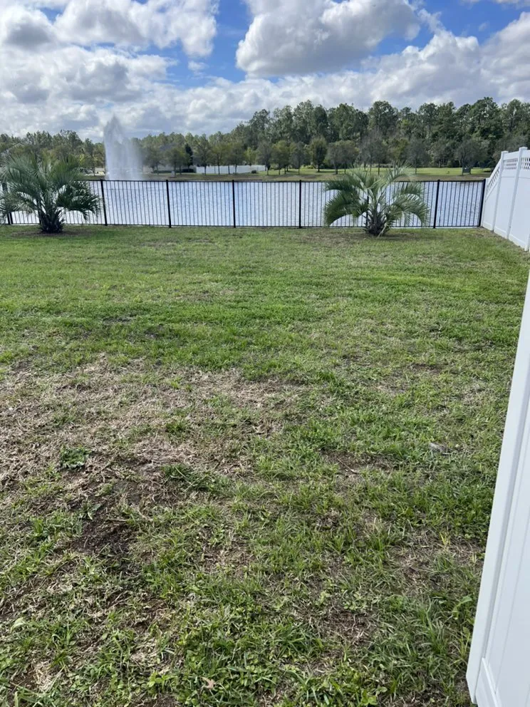 Custom yard cleanup service in Lake Charles, LA - Georgia Boy Lawn Care