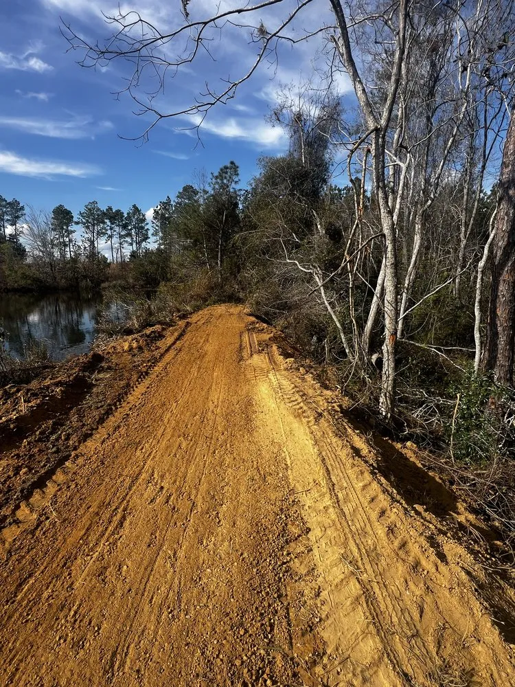 Custom yard cleanup service experts serving Mount Vernon, GA - Georgia Bro’s