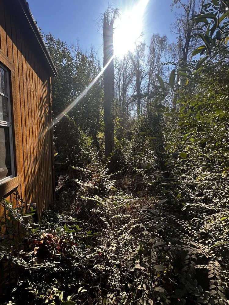 Trusted lawn mowing service for year-round maintenance in Mount Vernon, GA by Georgia Bro’s