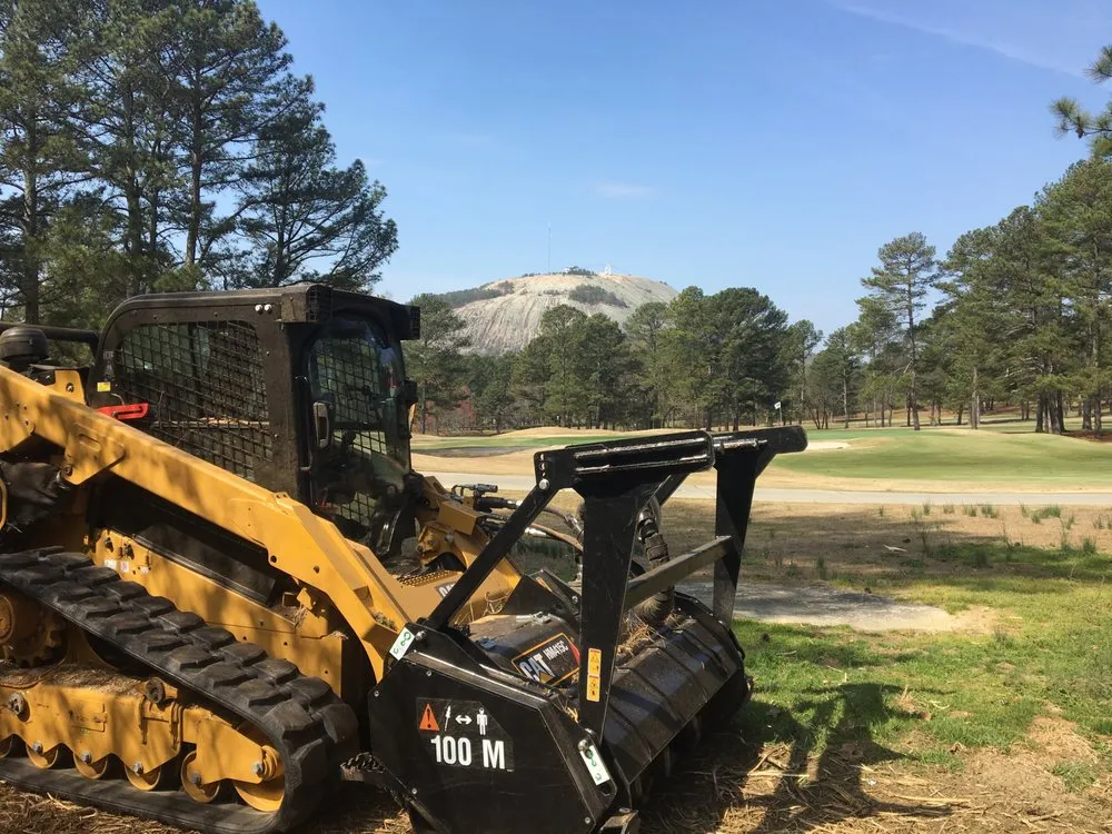 Professional yard cleanup service in Eatonton, GA by Georgia Brush Mowing