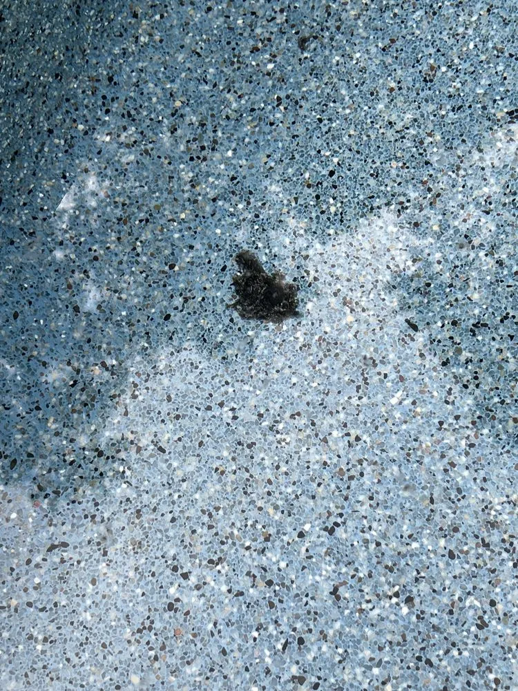 Top-rated lawn care service for outdoor upgrades across Milton, GA - Georgia Classic Pool