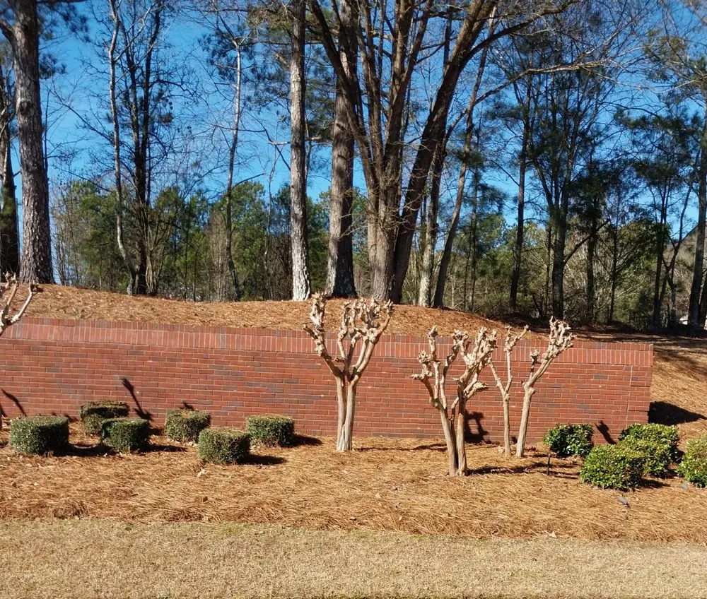 Expert garden landscaping for homes across Morrow, GA - Georgia Earth Lawn Mowing