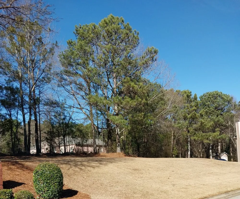 Custom lawn care service in Morrow, GA - Georgia Earth Lawn Mowing