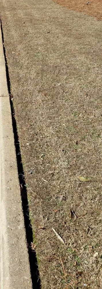 Expert outdoor landscaping in Morrow, GA by Georgia Earth Lawn Mowing