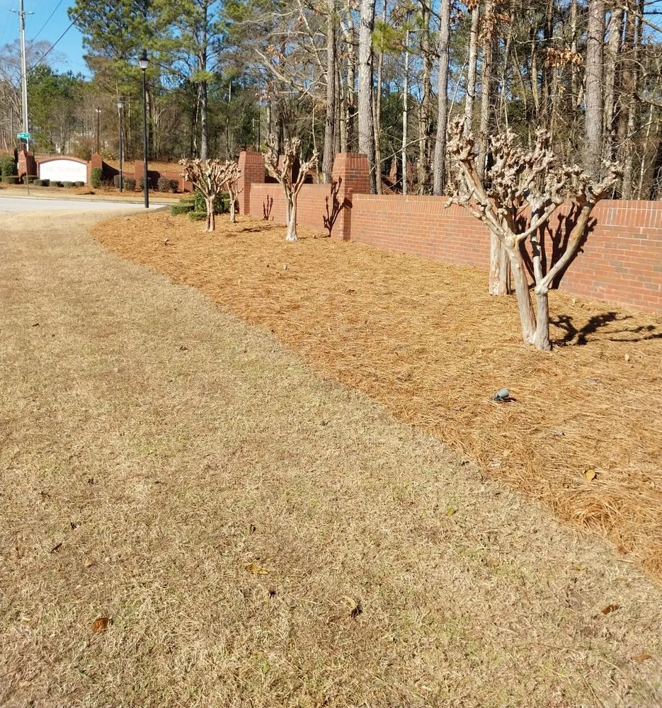 Professional landscape installation experts serving Morrow, GA - Georgia Earth Lawn Mowing