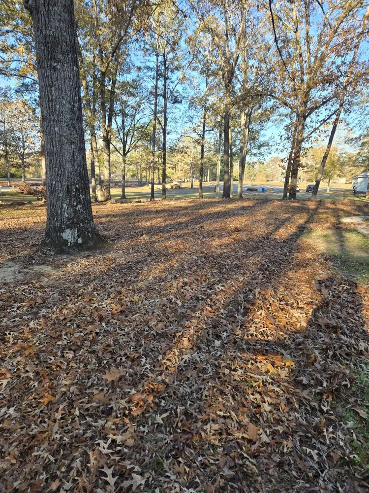 Reliable landscaping services for outdoor upgrades in Harlem, GA by Georgia Elite Landscaping