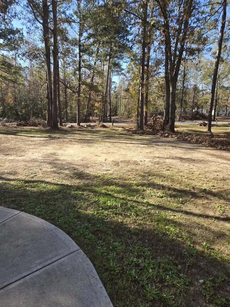 Trusted yard cleanup service in Harlem, GA by Georgia Elite Landscaping