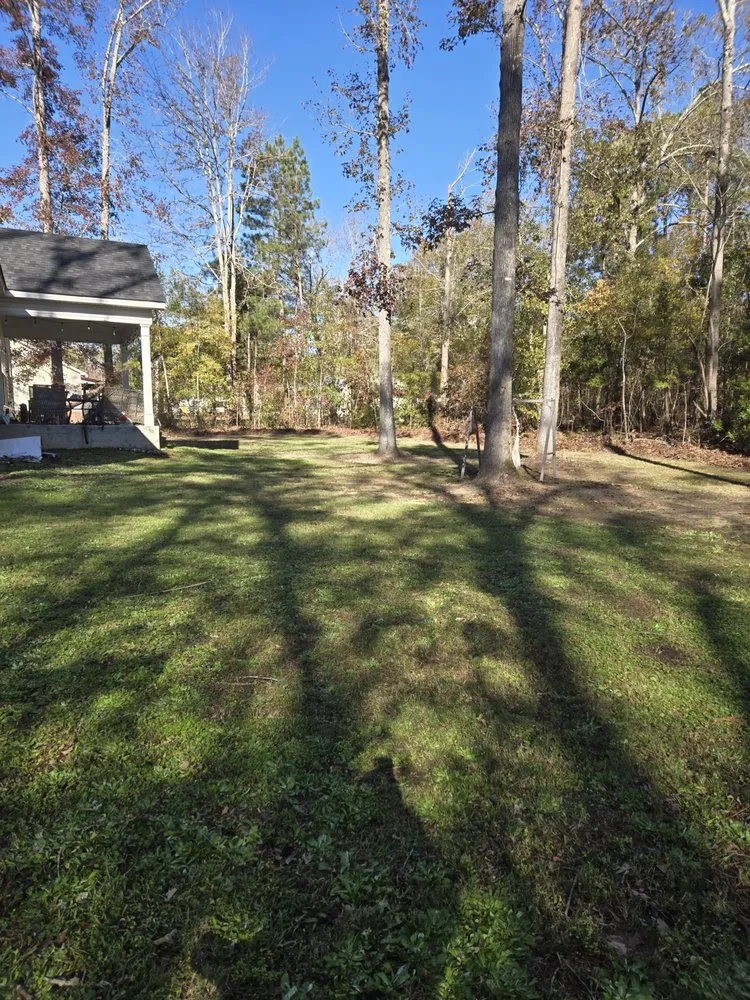 Local landscaping services in Harlem, GA - Georgia Elite Landscaping