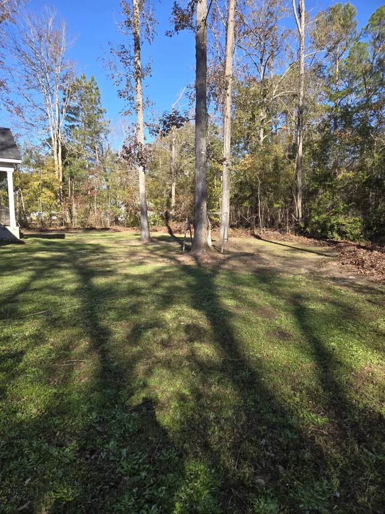 Trusted yard maintenance in Harlem, GA by Georgia Elite Landscaping