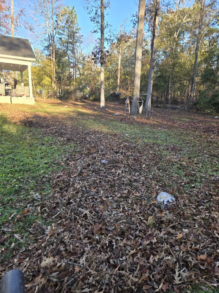 Trusted yard maintenance in Harlem, GA - Georgia Elite Landscaping