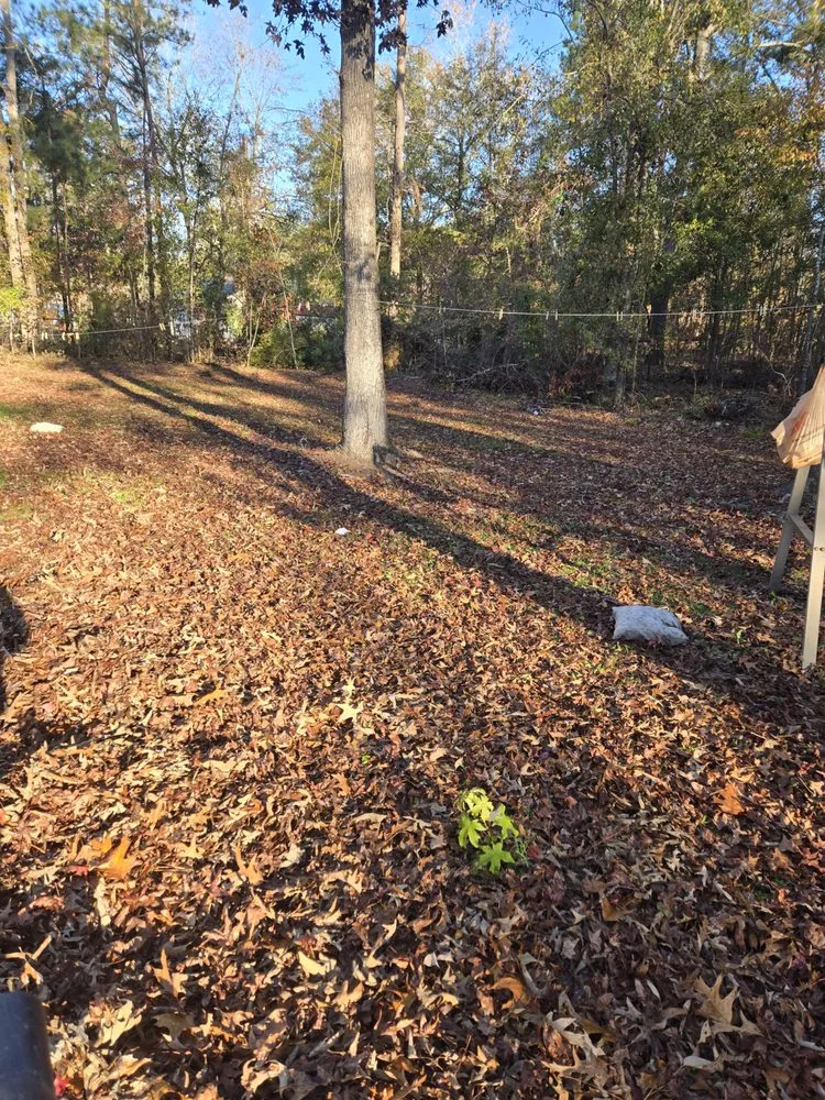 Expert residential landscaping in Harlem, GA - Georgia Elite Landscaping