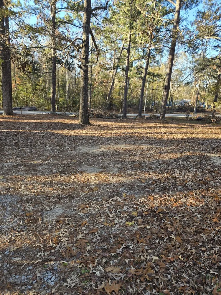 Reliable landscape installation experts serving Harlem, GA - Georgia Elite Landscaping