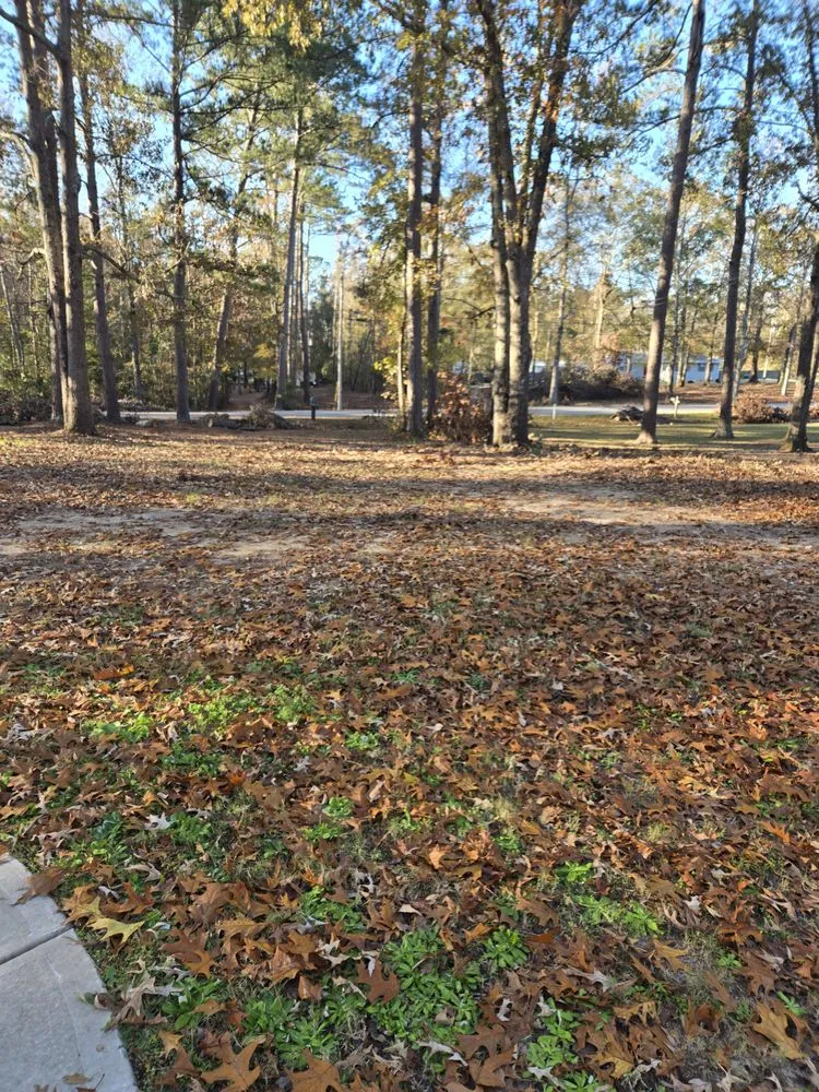 Expert landscaping services with custom design in Harlem, GA by Georgia Elite Landscaping