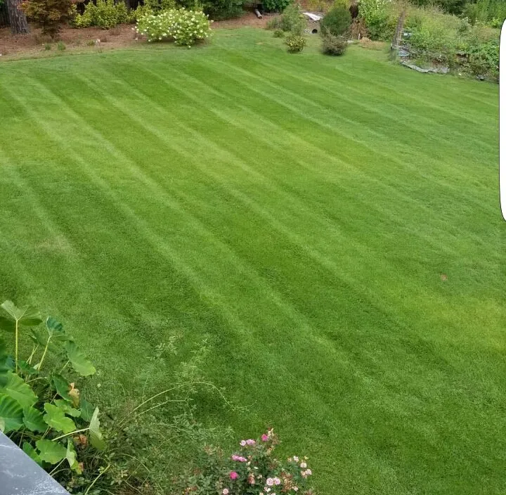 Reliable landscape design for residential properties across Cartersville, GA - Georgia Environmental Landscape Mangement