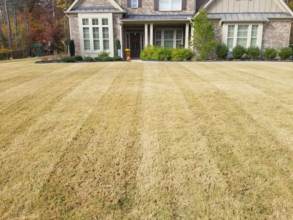 Top-rated landscape design in Cartersville, GA - Georgia Environmental Landscape Mangement