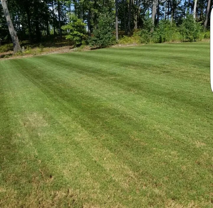Affordable landscaping services in Cartersville, GA by Georgia Environmental Landscape Mangement