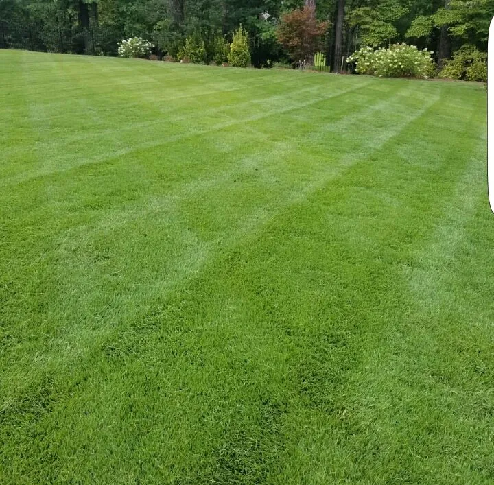 Custom garden landscaping for outdoor upgrades across Cartersville, GA - Georgia Environmental Landscape Mangement