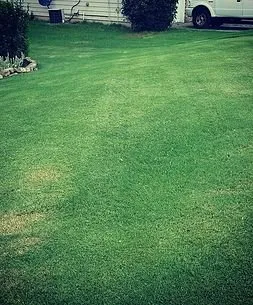 Professional lawn care service for beautiful yards in Cartersville, GA by Georgia Environmental Landscape Mangement
