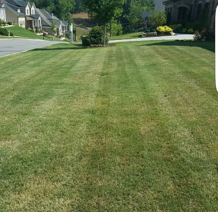 Expert lawn mowing service for residential properties in Cartersville, GA by Georgia Environmental Landscape Mangement