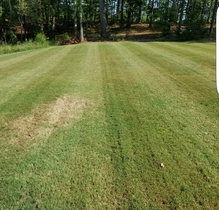Expert yard cleanup service experts serving Cartersville, GA - Georgia Environmental Landscape Mangement