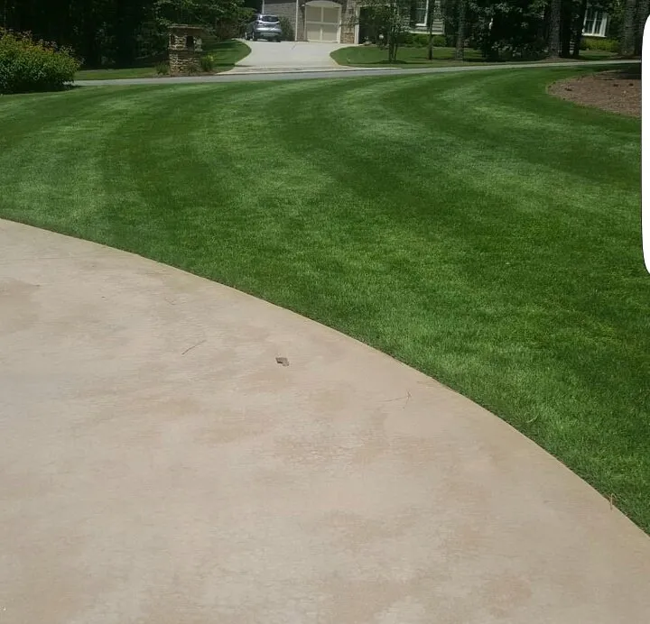 Professional landscape installation in Cartersville, GA by Georgia Environmental Landscape Mangement