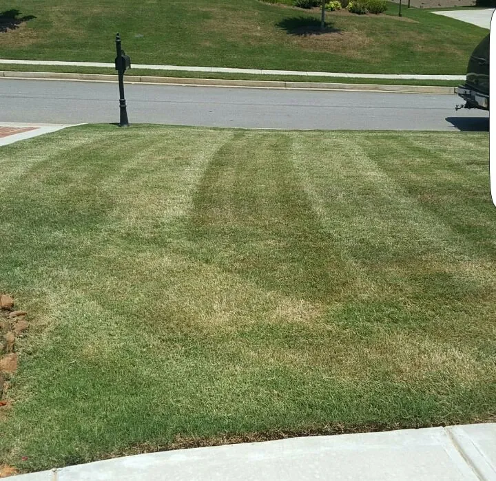 Expert landscape design with custom design in Cartersville, GA by Georgia Environmental Landscape Mangement