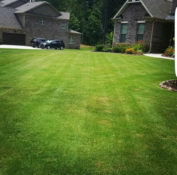 Expert lawn care service for outdoor upgrades across Cartersville, GA - Georgia Environmental Landscape Mangement