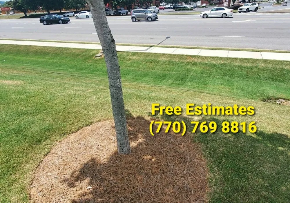 Professional lawn mowing service in Cartersville, GA - Georgia Environmental Landscape Mangement