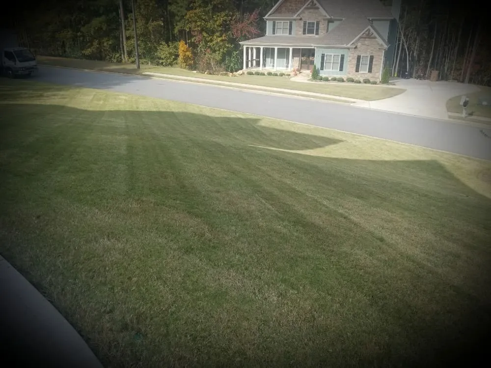 Professional landscaping services experts serving Cartersville, GA - Georgia Environmental Landscape Mangement