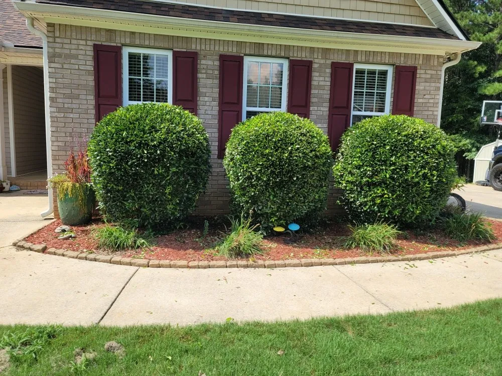 Expert landscaping services for year-round maintenance across Cartersville, GA - Georgia Environmental Landscape Mangement