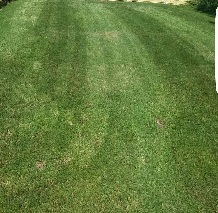 Local lawn care service experts serving Cartersville, GA - Georgia Environmental Landscape Mangement