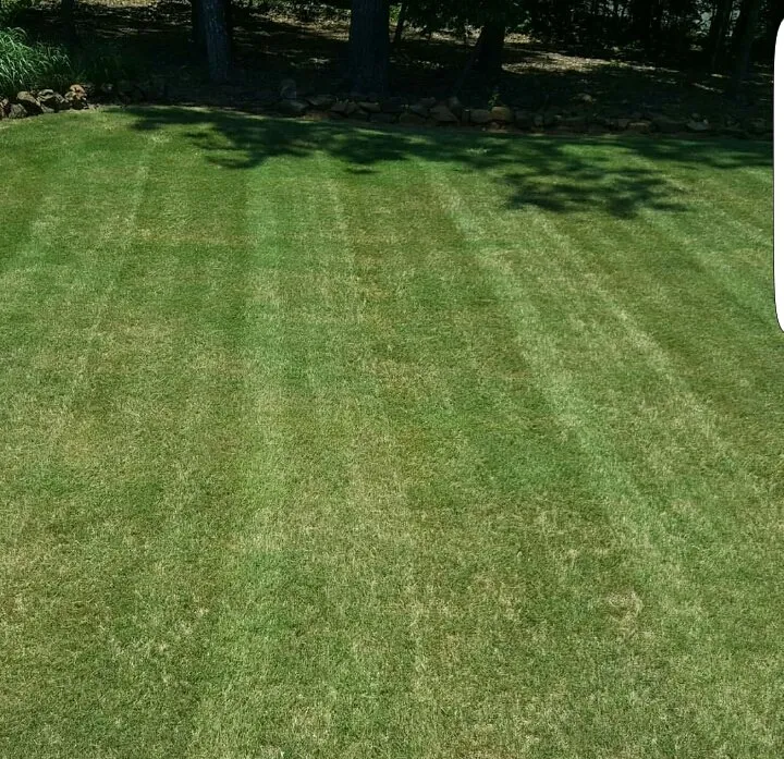 Reliable outdoor landscaping in Cartersville, GA by Georgia Environmental Landscape Mangement