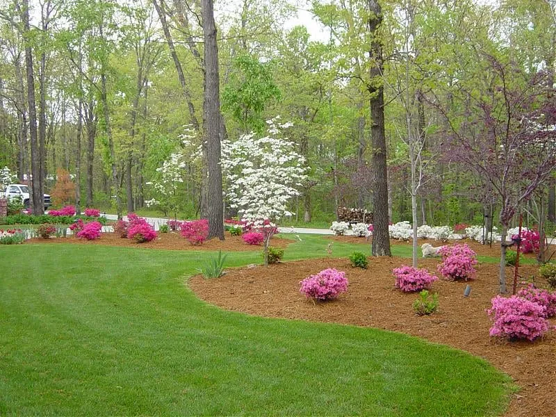 Custom landscaping services experts serving Fairburn, GA - Georgia Grass
