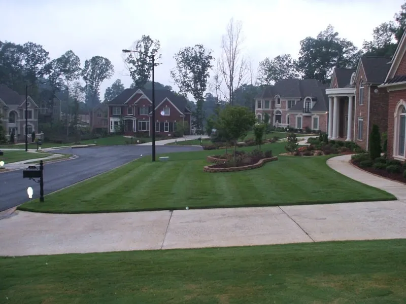 Professional lawn care service in Fairburn, GA - Georgia Grass