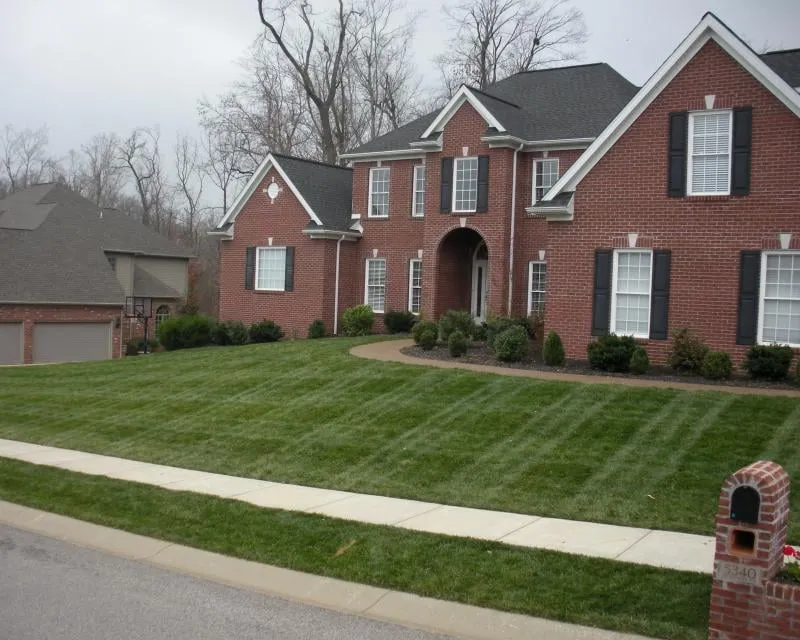Custom landscaping services in Fairburn, GA - Georgia Grass