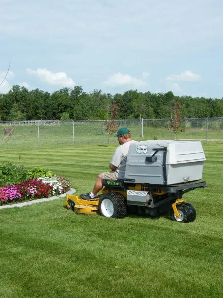 Custom yard cleanup service in Fairburn, GA by Georgia Grass