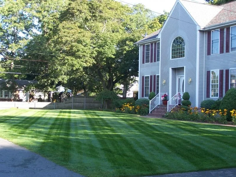 Local outdoor landscaping experts serving Fairburn, GA - Georgia Grass