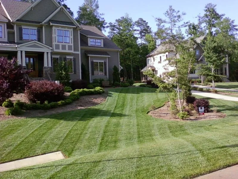 Local yard cleanup service experts serving Fairburn, GA - Georgia Grass