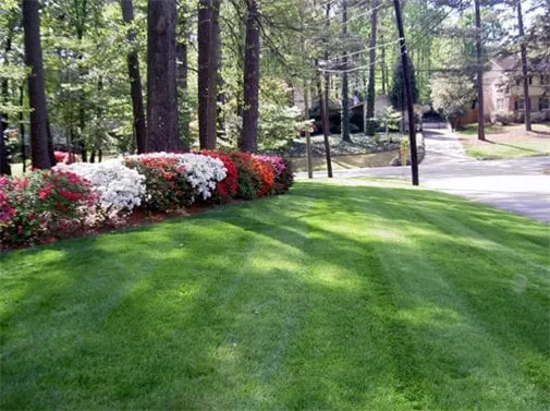 Top-rated yard maintenance in Fairburn, GA - Georgia Grass