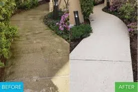 Local yard maintenance for year-round maintenance across Ellenwood, GA - Georgia Green Landscaping Services
