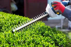 Georgia Green Landscaping Services Logo