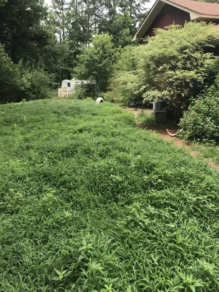 Affordable yard cleanup service experts serving Lawrenceville, GA - Georgia Grounds Management