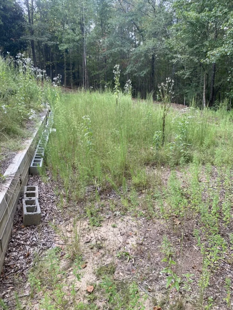 Professional outdoor landscaping for outdoor upgrades across Lawrenceville, GA - Georgia Grounds Management