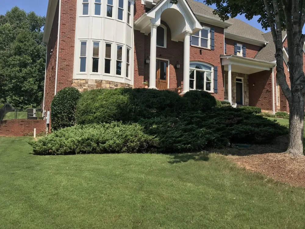 Professional yard cleanup service experts serving Lawrenceville, GA - Georgia Grounds Management