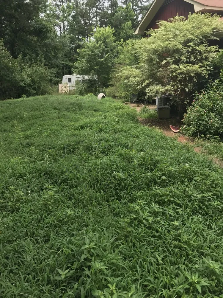 Local landscape installation experts serving Lawrenceville, GA - Georgia Grounds Management