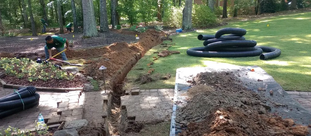 Expert yard cleanup service experts serving Gainesville, GA - Georgia Innovations Landscapes