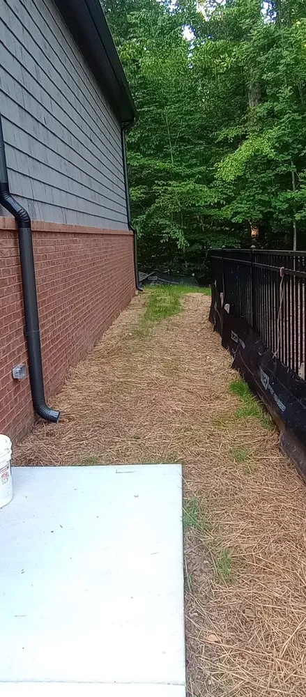 Affordable garden landscaping for year-round maintenance across Gainesville, GA - Georgia Innovations Landscapes