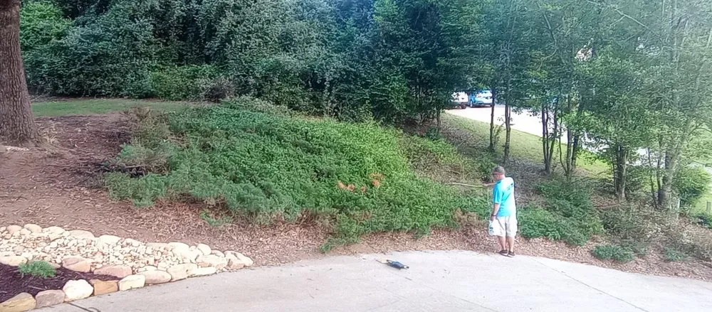 Reliable yard maintenance experts serving Gainesville, GA - Georgia Innovations Landscapes