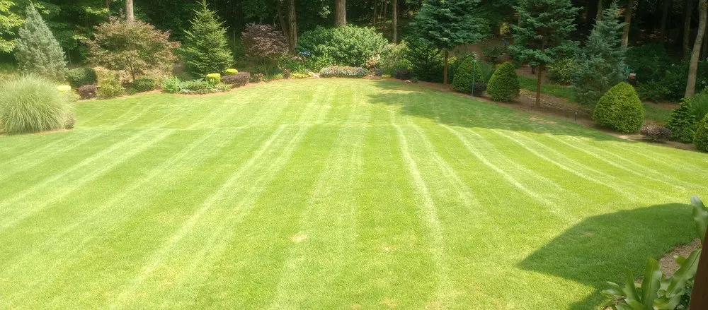 Expert landscape design for residential properties in Gainesville, GA by Georgia Innovations Landscapes