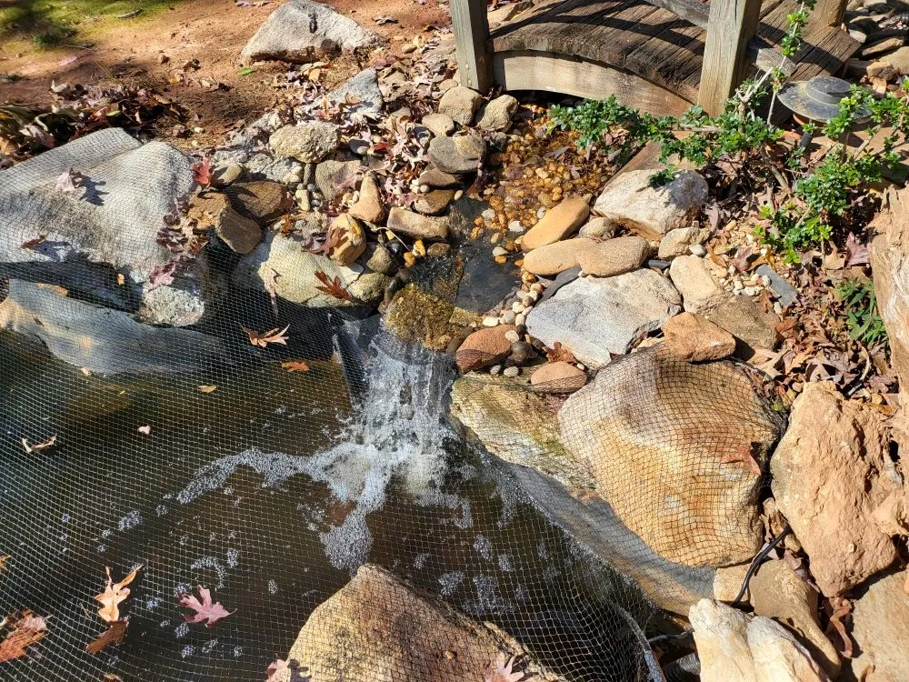 Local lawn care service in Cumming, GA by Georgia Koi & Pond